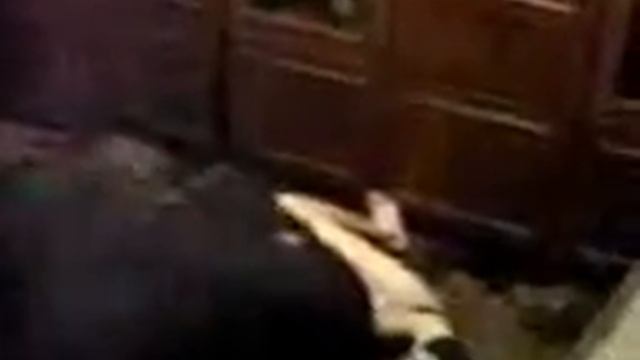 Русский Рестлинг на хате.3gp смотреть онлайн