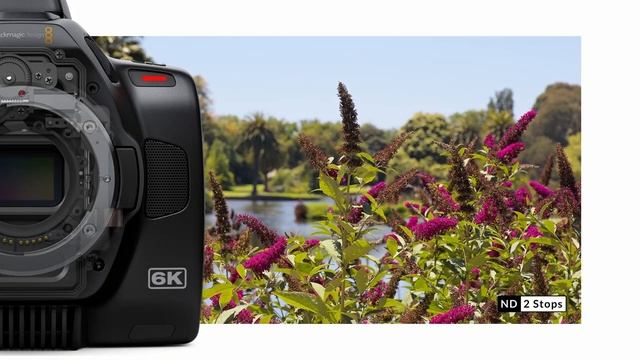 New Technology Breakdown Ep. 06 - Blackmagic Pocket Cinema Camera 6K Pro смотреть онлайн