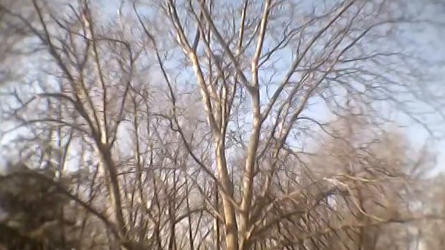 Изучаем книгу Бурислава Сервестра, комментируем смотреть онлайн