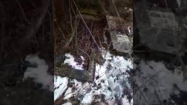 07/01/18 могилы Арбузова Д.С. и Арбузовой З.Ф. БОЛЬШОЕ КЛАДБИЩЕ ОКТЯБРЬСКОГО РАЙОНА смотреть онлайн