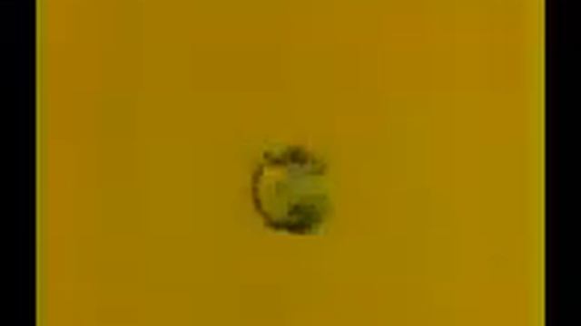 Спокойной ночи малыши 1981 год Наоборот смотреть онлайн