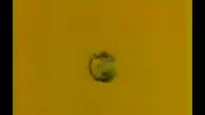 Спокойной ночи малыши 1981 год Наоборот