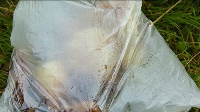 Рецепты от шеф-повара