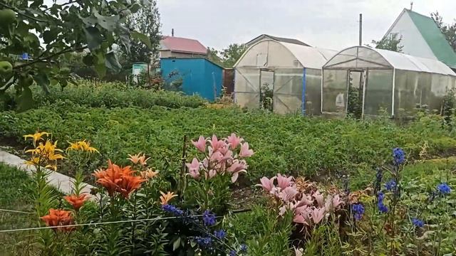снт "созидатель" смотреть онлайн