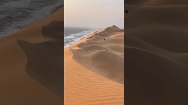 Столкновение пустыни и океана. Уникальное место Африки. #namibia #намибия смотреть онлайн