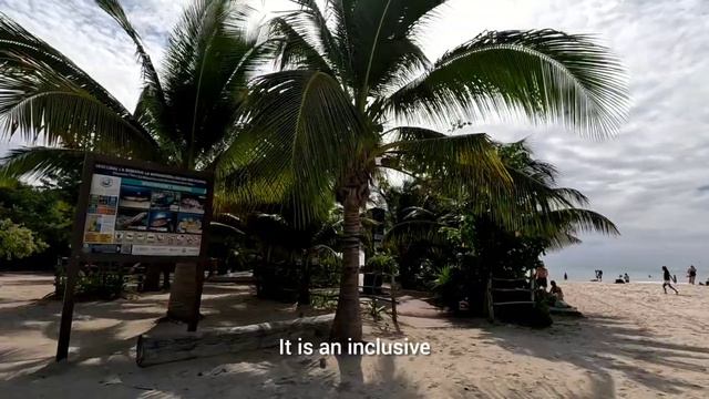 Playa Del Carmen Hoy  Clima Y Playa Inclusiva Blue Flag  21 Enero 2024