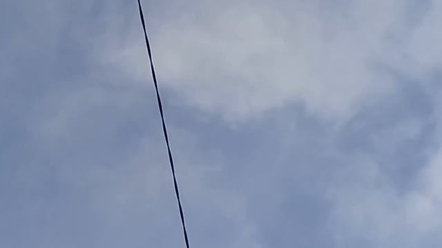 Посадка Арм.бойных голубей !9.01.18г