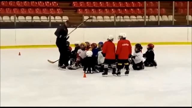 Физическая культура и спорт – альтернатива пагубным привычкам смотреть онлайн