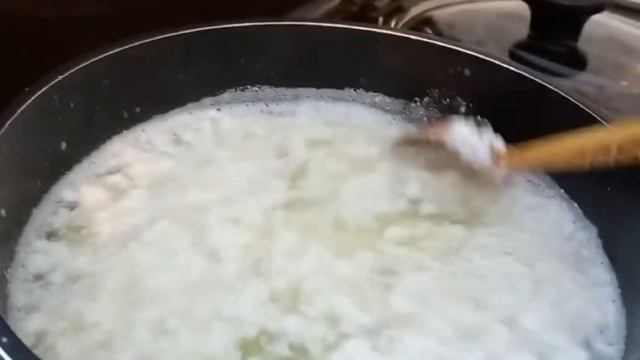 Фея - маленькая собачка йорк и её друзья