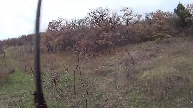 Охота в Крыму на вальдшнепа 2015 г.ЮБК. смотреть онлайн