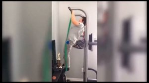 САМЫЕ ТУПЫЕ Дебилы 100 Уровня  Подборка За Октябрь 2021