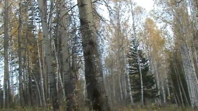 осень 2009 на Чусовой и пруду Староуткинск смотреть онлайн