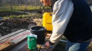 Подкормка клубники по листу.Плантафол 20.20.20 .feedings strawberry ???