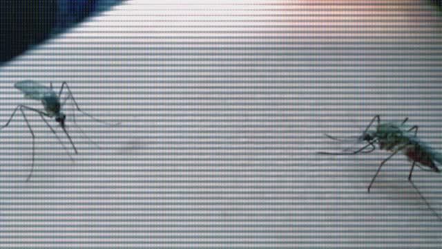 Duran Duran - Vírus