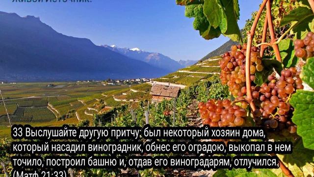 Камень, который отвергли строители смотреть онлайн