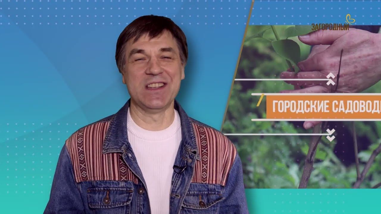 Ирина Николаевна // Городские садоводы. Сезон 1 смотреть онлайн