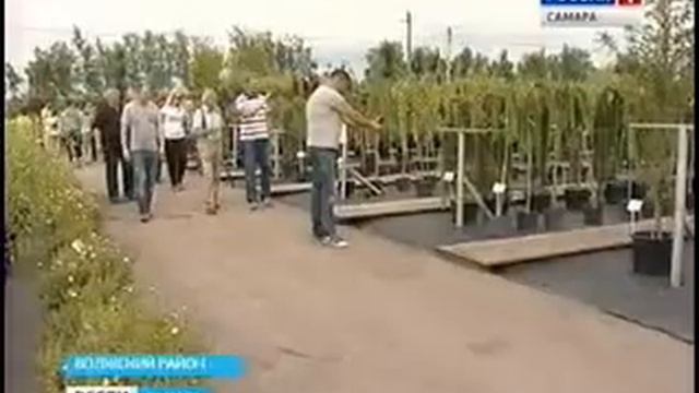 Польская делегация в питомнике "Ёлы-палы", "Мир растений" и садовом центре Веры Глуховой смотреть онлайн