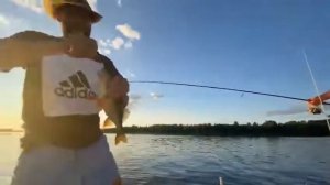 АЛ-550 рыбалка