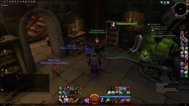 World of Warcraft (Patch 9.2) - Picking a succubus or the incubus смотреть онлайн