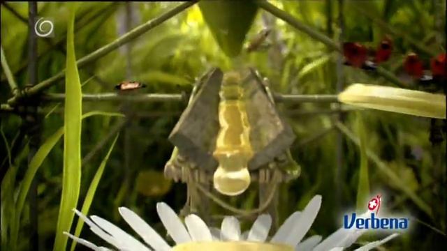 Verbena смотреть онлайн