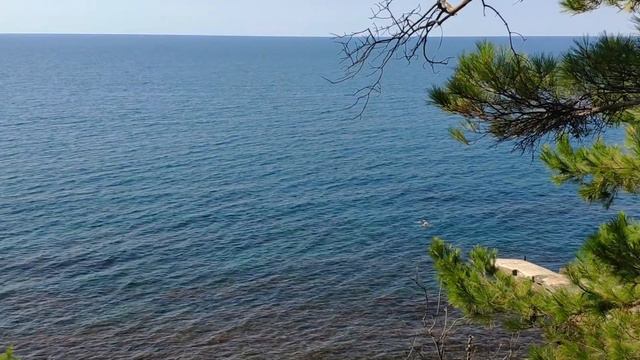 Морские пейзажи смотреть онлайн