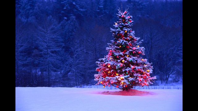 Noël En Forêt _ Cover