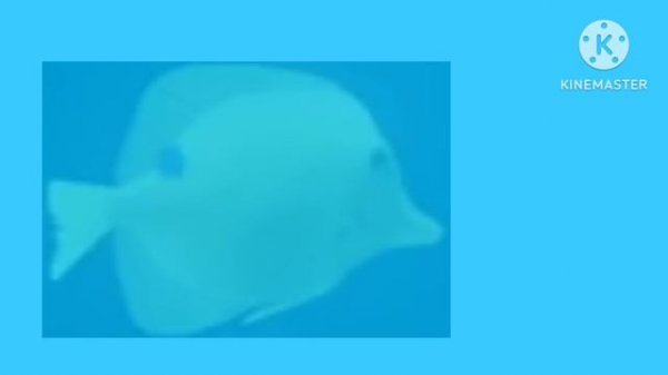 Моланг и его друзья потоп НОВЫЕ СЕРИИ 2024