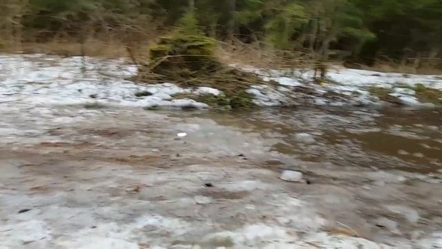 Кросс на велосипедах по весеннему удмуртскому лесу. смотреть онлайн