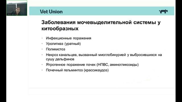 Исследование мочи китообразных смотреть онлайн
