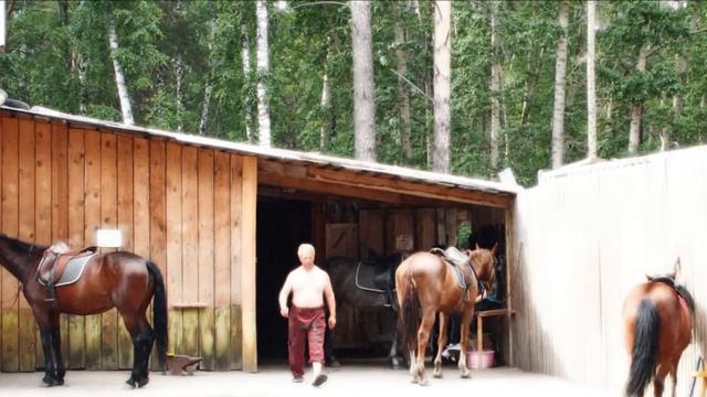 Иппотерапия смотреть онлайн