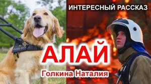 «АЛАЙ» - ОЧЕНЬ ИНТЕРЕСНЫЙ РАССКАЗ. Новинка 2020 | Голкина Наталья | Интересный Христианский Рассказ