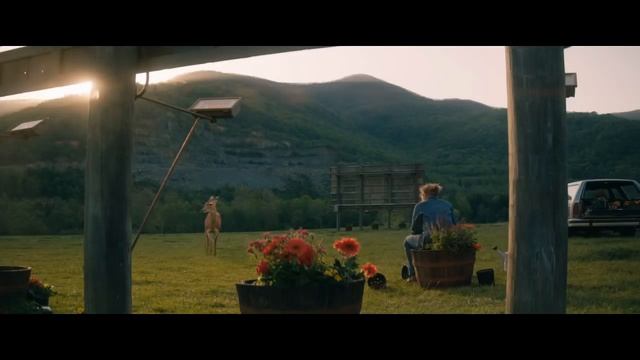 Deer Scene in Three Billboards Outside Ebbing, Missouri смотреть онлайн