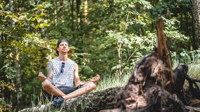 MBSR Sitting Meditation 30 minutes смотреть онлайн