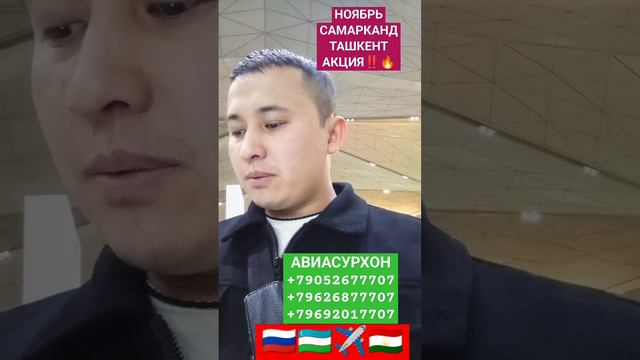 АКЦИЯ 🔥‼️✈️🇺🇿БИЛЕТЛАР НОЯБРЬ ОЙИ УЧУН САМАРКАНД ТАШКЕНТ ОТ 16500 РУБЛЬДАН #aviasurhon #shortvideo смотреть онлайн