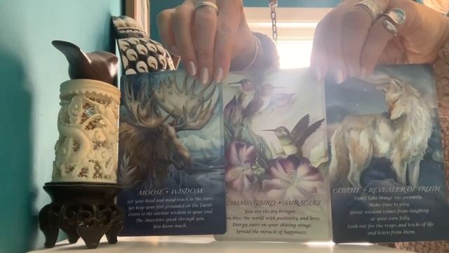 Today’s tarot is from my Spirit of the Animals Oracle deck ?? смотреть онлайн
