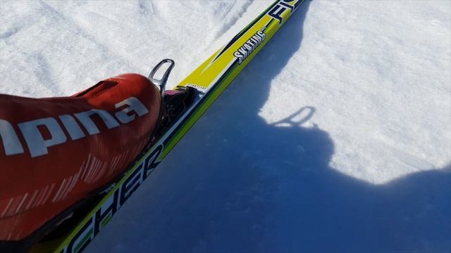 На лыжах по полям в Сыктывкаре