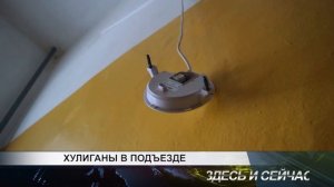 Хулиганы в подъезде