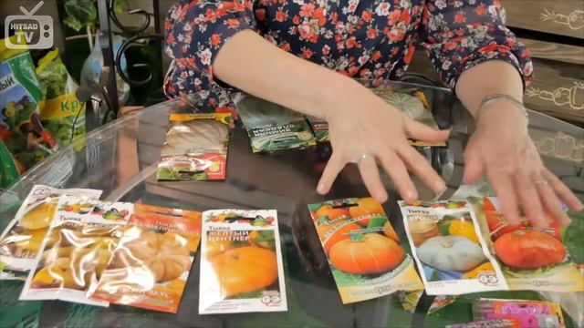 Виды тыквы. смотреть онлайн