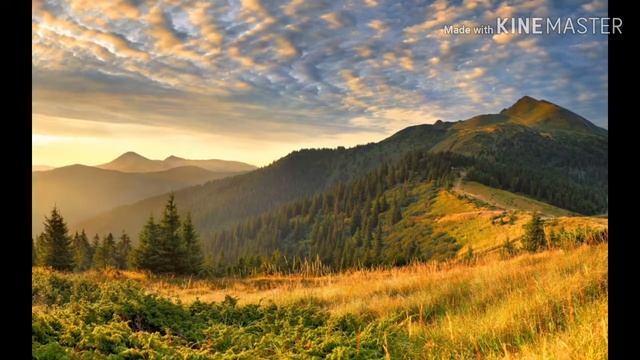 И. Бунин стих «Не видно птиц. Покорно чахнет...» смотреть онлайн