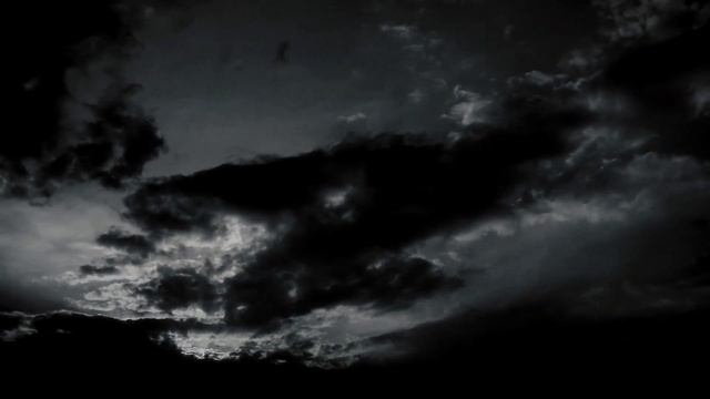 Где цветы FIN смотреть онлайн