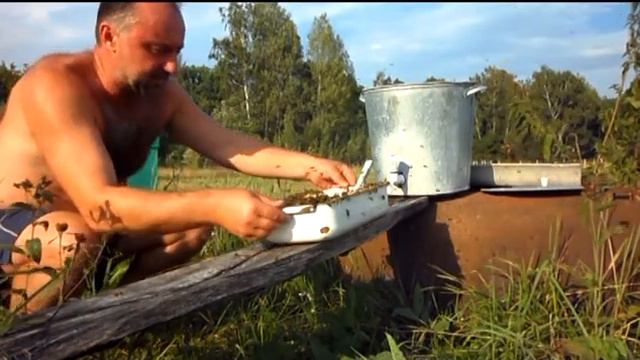 Пчёлки и забрус смотреть онлайн