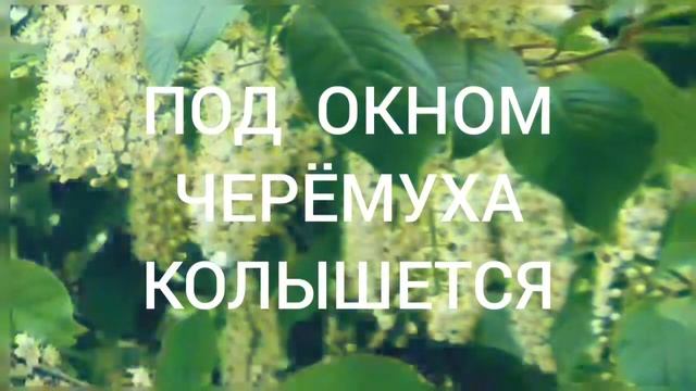 ПОД ОКНОМ ЧЕРЁМУХА КОЛЫШЕТСЯ. смотреть онлайн