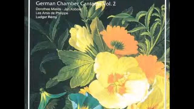 Gottfried Heinrich Stölzel - Cantata 'Ja, Mein Engel, Dieses Herze' смотреть онлайн