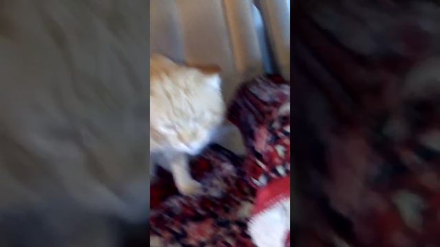 Любовная трещина фильм2 смотреть онлайн