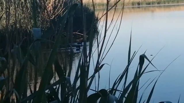 Природа, Россия, Кубань смотреть онлайн