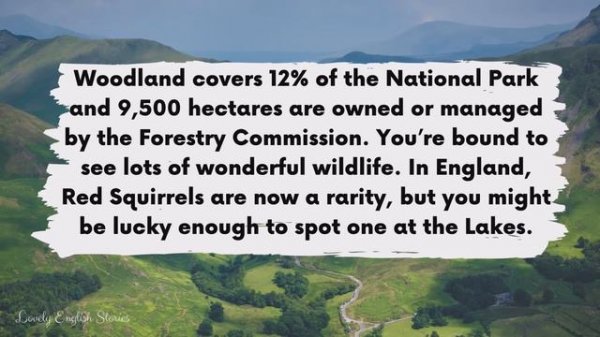 INTERMEDIATE ENGLISH STORY | The Lovely Lakes | B2 English Story for Learning English | Slow Readin