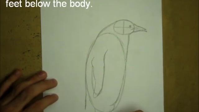 How to Draw a Penguin (Emperor) смотреть онлайн