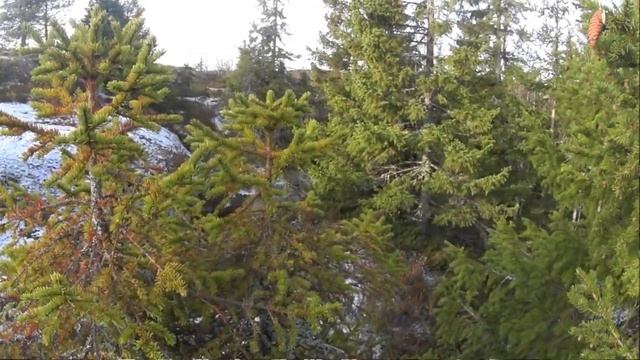 Куда едут люди со всего мира!Тысяча озёр и Белое море с Лабиринтами!Значит вы на правильном пути. смотреть онлайн
