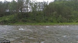 РЫБАЛКА В ГОРНОМ АЛТАЕ. ФОРЕЛЕВЫЕ ОЗЕРА.