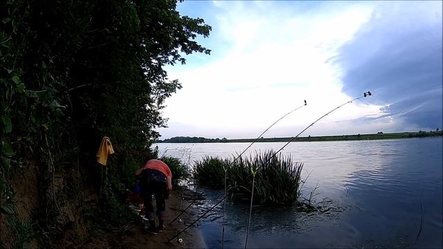 Рыбалка на Оке, Дединово, июнь 2015г. смотреть онлайн